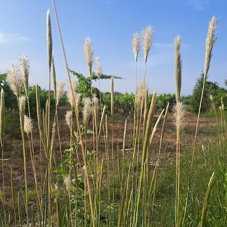 Дом отдыха Proche De Perpignan *